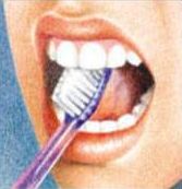 4рисунок-как-правильно-чистить-зубы (1)
